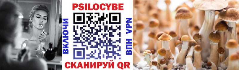Галлюциногенные грибы Psilocybe Железноводск